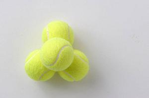 乗馬に最適なグローブの選び方とおすすめアイテム徹底解説